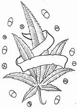 Coloring Pages Leaf Weed Pot Marijuana Drawing Stoner Cannabis Tattoo Plant Sketch Adult Drawings Hemp Sheets Funny Printable Outline Trippy sketch template