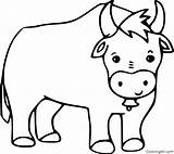 Ox Coloring Pages Bell sketch template
