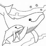 Coloring Baby Pages Animals Mom Whale Animal Mother Babies Sea Their Sheets Adult Dive Colouring Child Whales Print Color Preschool sketch template