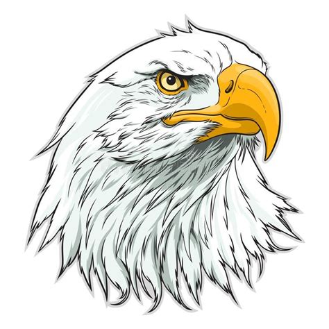 bald eagle head drawing easy bmp review