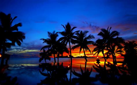 tropical sunset hd wallpaper background image 1920x1200 id 718019 wallpaper abyss