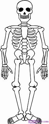 Skeleton Coloring Cartoon Pages Draw Getcoloringpages Body Halloween Printable Skeletons Anatomy sketch template