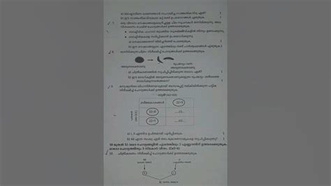 atshort class sslc biology mid term exam qustion paper youtube