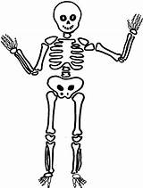 Skeleton Coloring Pages Printable Characters Drawing sketch template