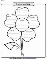 Writing Flower Graphic Paragraph Organizer Printable Template Worksheets Organizers Teacher Reading Super Idea Main Grade Students Help Flowers Pot Their sketch template