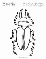 Coloring Beetle Escarabajo Built California Usa sketch template