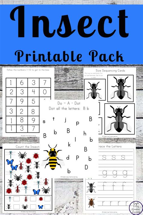 insect printable pack simple living creative learning