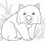 Wombat Pages Coloring Printable sketch template