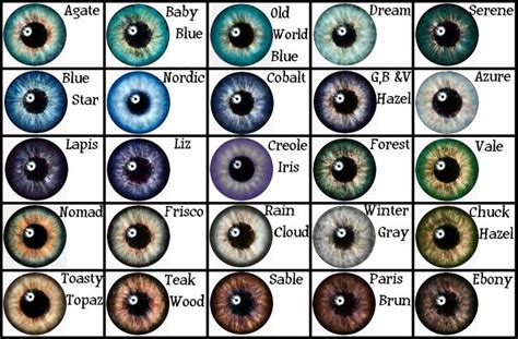 De 25 Bedste Idéer Inden For Rare Eye Colors På Pinterest Smukke