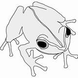 Coqui Rico Frog sketch template