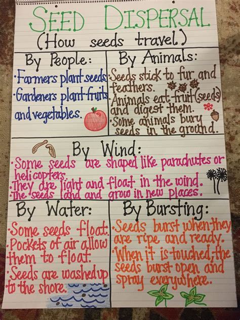 seed dispersal anchor chart  grade science science lesson