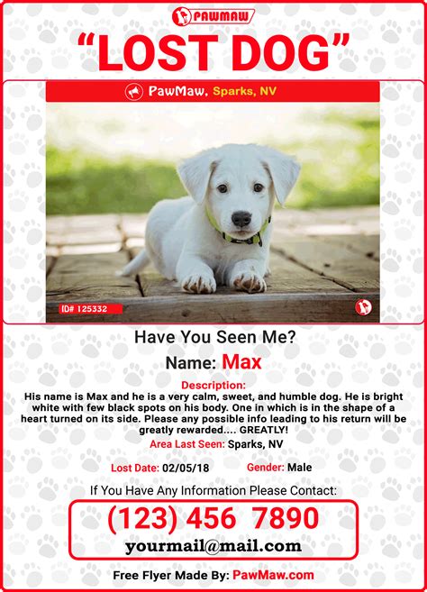 dog template report card template  flyer templates event flyer