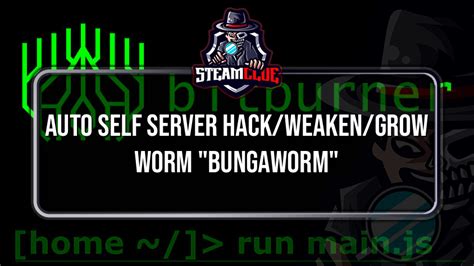 auto  server hackweakengrow worm bungaworm bitburner steam clue