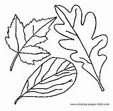 Coloring Pages Leaves Leaf Color Printable Leafs Nature Food Kids Sheets Fall Template Patterns Print sketch template