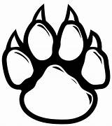 Wildcat Paw Wildcats Drawing Vector Transparent Getdrawings Background sketch template