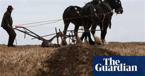 a ploughing lesson for beginners life and style the