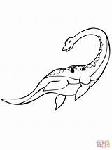 Plesiosaurus Colorear Plesiosaurio Sauropsida Plesiosaur Ausmalbild Dinosaur Zum Supercoloring Zeichnen sketch template