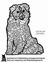 Coloring Australian Shepherd Pages Book Printable Mini Getcolorings Books Well Adult sketch template