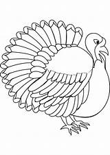 Turkey Coloring Pages Printable Kids Template Color Realistic Disguise Wild Drawing Print Animal Templates Getdrawings Getcolorings Drawings Colorings Colored sketch template