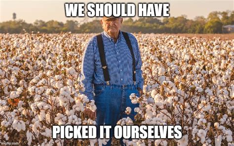 cotton farmer imgflip