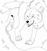 Fighting Wolves Wolf Coloring Fight Pages Sketches Template sketch template