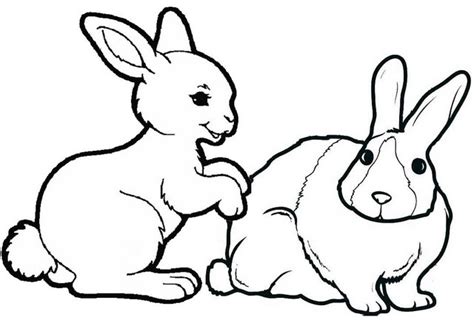 real  cartoon rabbit coloring pages  children coloring pages