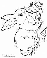 Coloring Rabbit Cute Bunny Pages Colouring Kids Printable Bunnies Rabbits Print Sheets Salad Eating Color Realistic Real Easter Animals Sheet sketch template