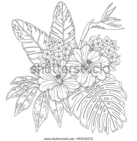 tropical flowers leaves page coloring book stock vector royalty