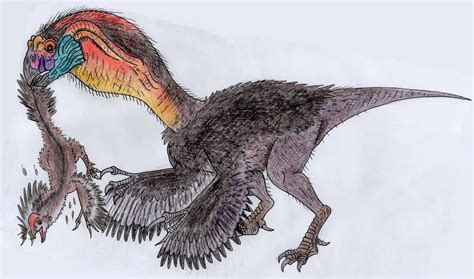 gigantoraptor  wdghk  deviantart