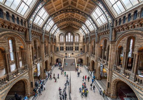 international museums day top ten facts top  facts life style