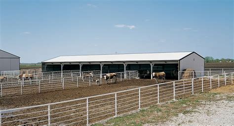 richards cattle barn morton buildings cattle barn