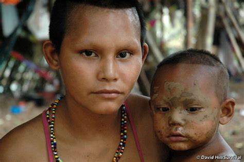 thirty four colombian tribes face extinction says un article