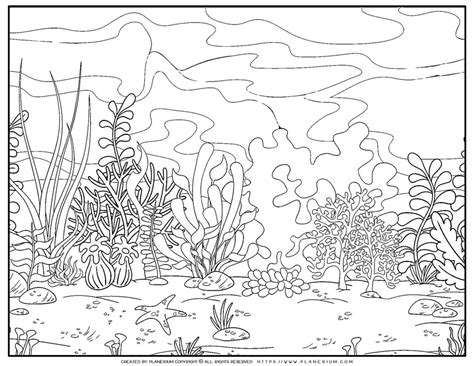 underwater coloring page planerium coloring pages unique coloring