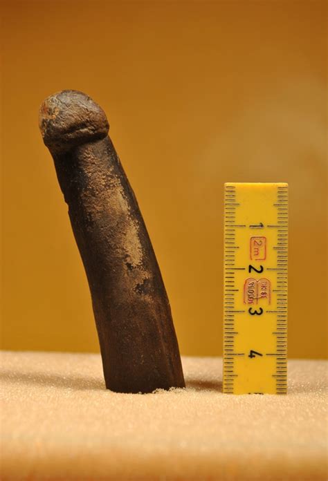 stone age carving may be ancient sex toy