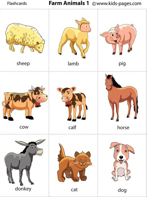 farm animals animal flashcards learning english  kids flashcards