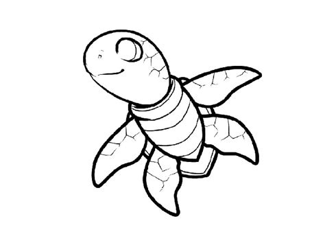 baby turtle coloring pages