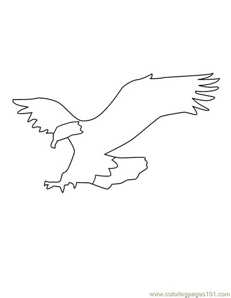 coloring pages flying eagle sketch birds eagle  coloring home