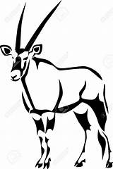 Oryx Gemsbok Arabian Antelope sketch template