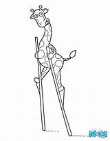 Stilts Giraffe Coloring Pages Hellokids Animal Animals Color African Template Print sketch template