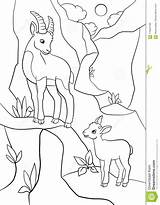 Ibex Stambecco Weinig Sveglio Pagine Coloritura Kleurende Illustrazione Steenbok Kleur Glimlachen Corni Gufi Svegli Circondi Modello Fauna sketch template