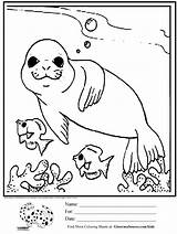 Seal Coloring Kids Pages Cute Printable Ocean Drawing Animals Baby Drawings Seals Fish Simple Color Leopard Elephant Sheets Worksheets Kindergarten sketch template
