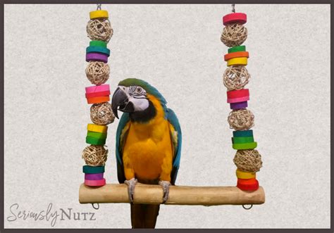 hardwood swing  nutz bird toys large bird swing  parrots large diameter macaw