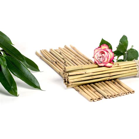 Bamboo Plant Stake Van Nifterik Holland B V Tonkin Bamboo