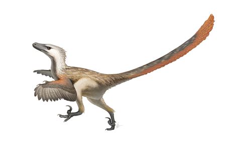 velociraptor disney animals wiki fandom powered  wikia