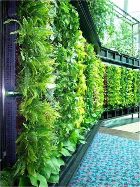 mesmerizing vertical garden ideas   refresh