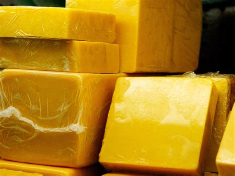philadelphia police search  swiss cheese pervert  offers women
