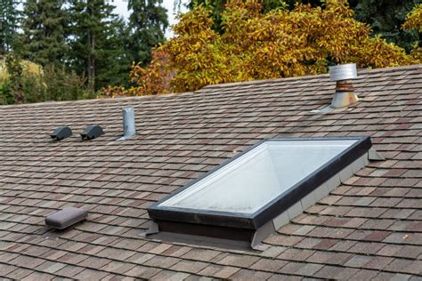 skylight  roof maintenance