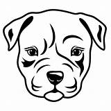 Pitbull Dog Pit Bull Drawing Svg Angry Puppy Face Draw Drawings Faces Getdrawings Designs Designlooter Nose Red 33kb 600px sketch template