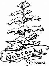 Nebraska sketch template