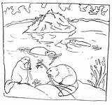 Beaver Biber Ausmalen Teich Ausmalbild Protects Provides Colouring Beavers Keywords Kleurplaten Freecoloringpages Malvorlagenwelt sketch template